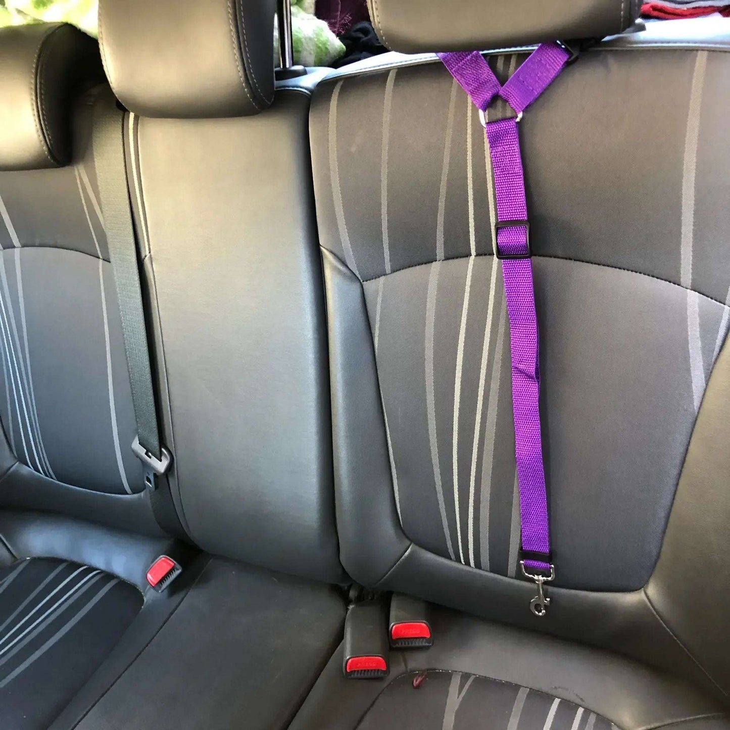 SafeBelt – Correa de Sujeción para Coche