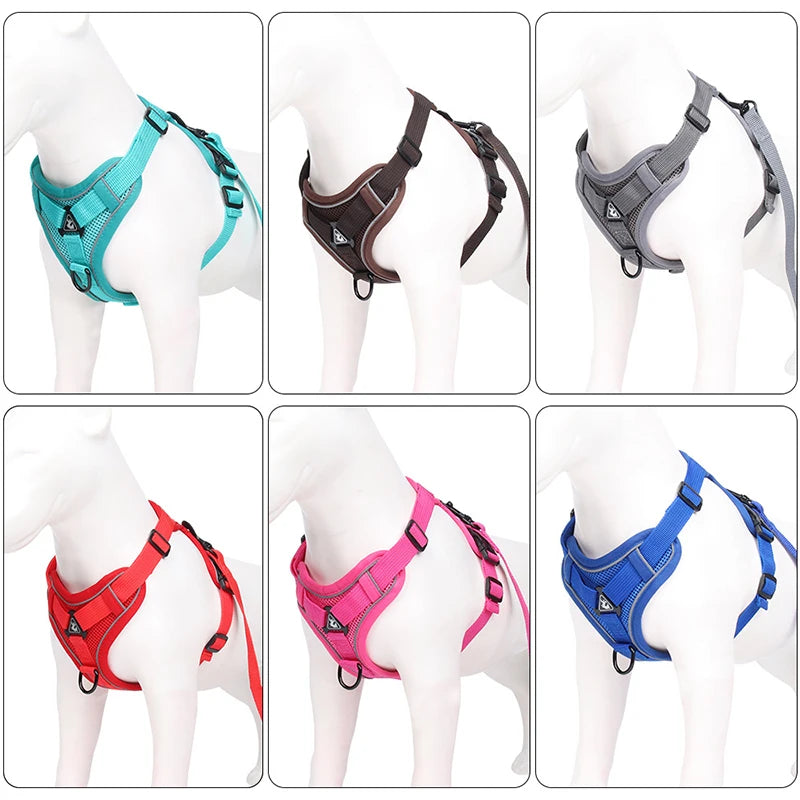 DogVibe – Arnés Ajustable con Correa para Perros y Gatos