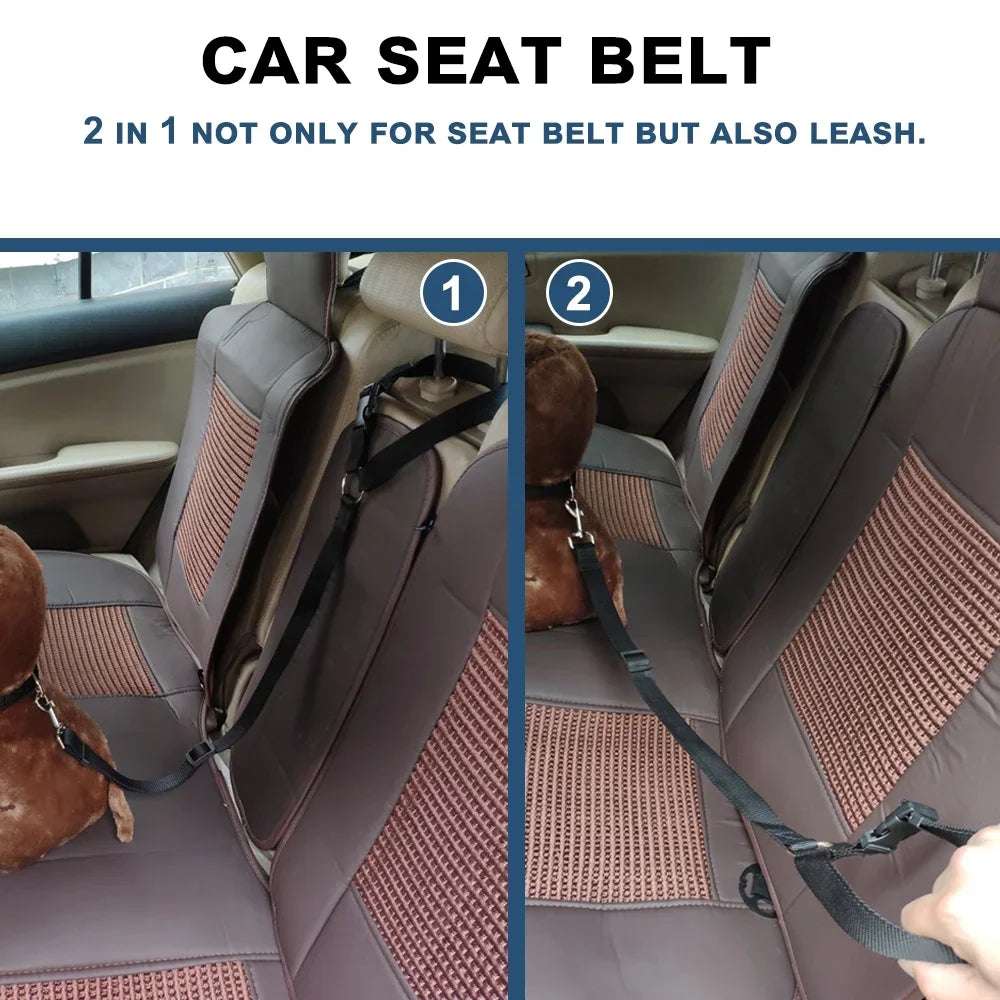 SafeBelt – Correa de Sujeción para Coche