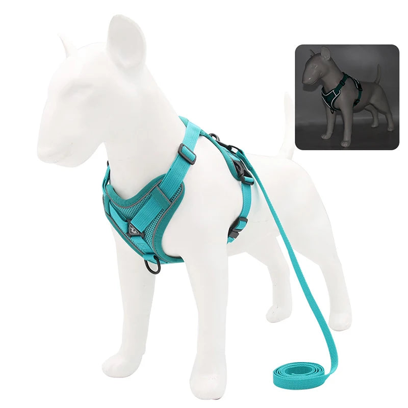 DogVibe – Arnés Ajustable con Correa para Perros y Gatos