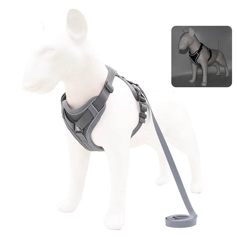 DogVibe – Arnés Ajustable con Correa para Perros y Gatos