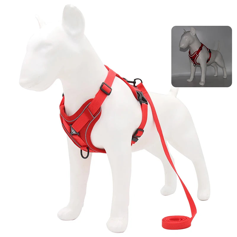 DogVibe – Arnés Ajustable con Correa para Perros y Gatos