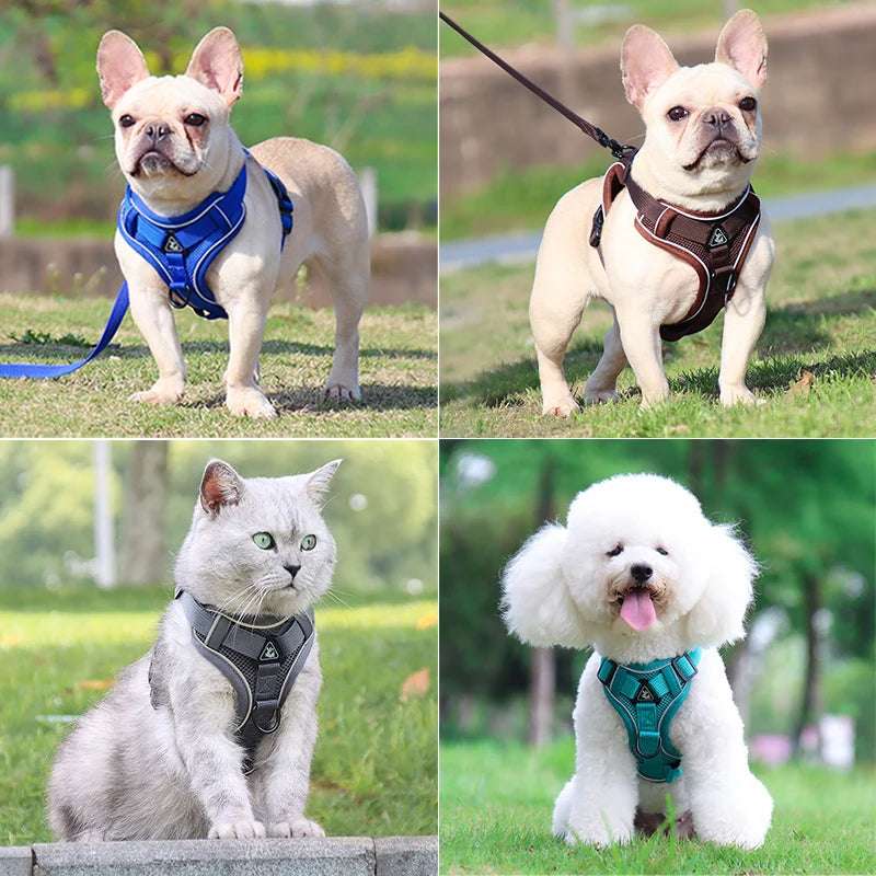 DogVibe – Arnés Ajustable con Correa para Perros y Gatos
