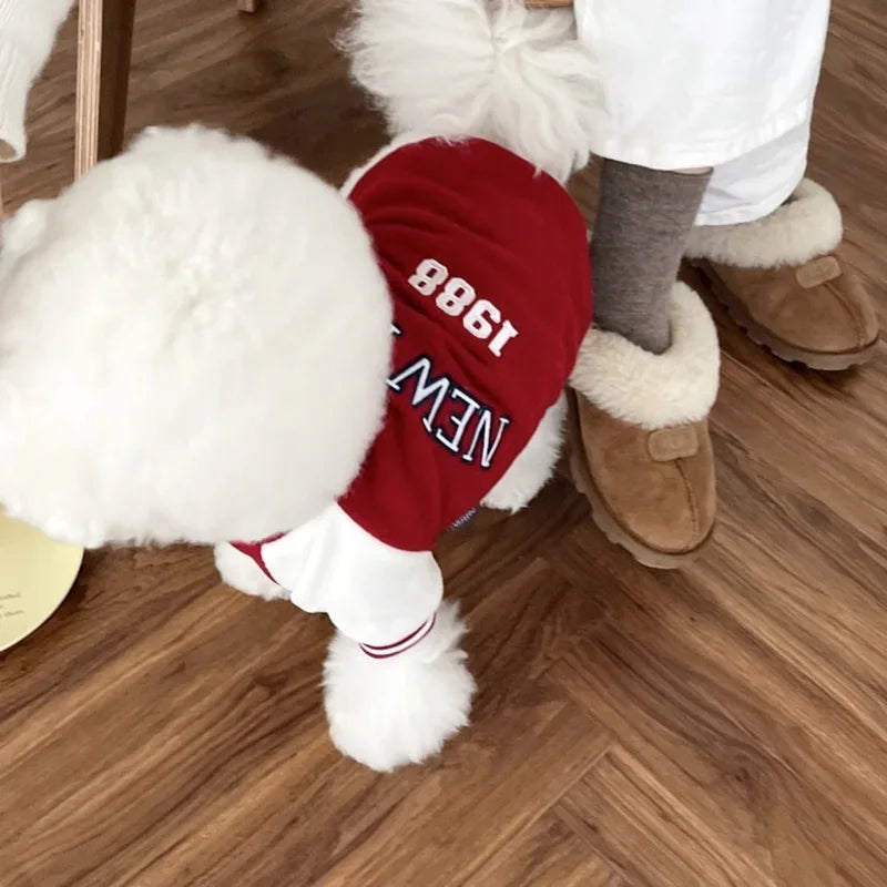 Chaqueta Béisbol "Mokto"