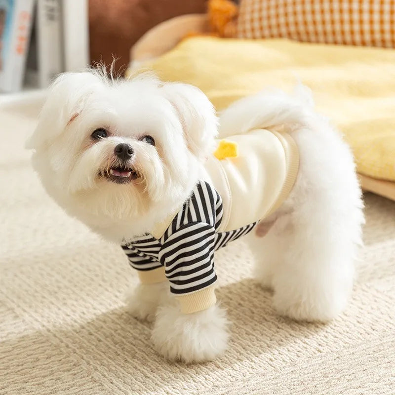 Sudadera para Perros "Wintsy"