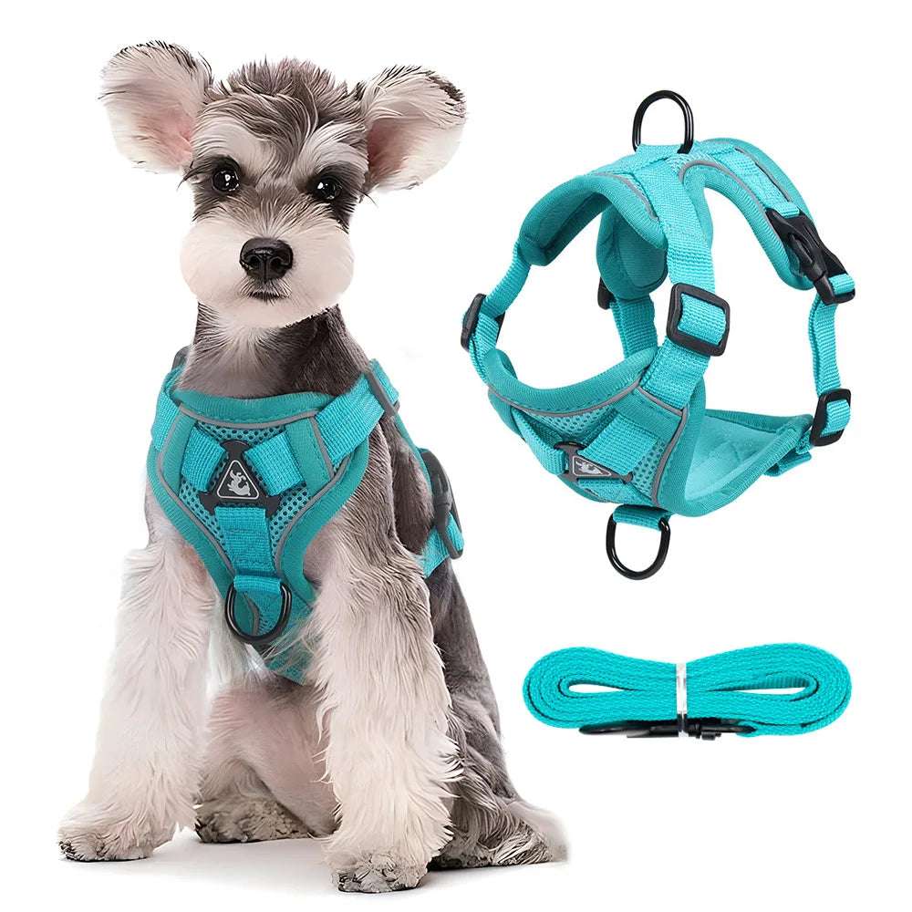 DogVibe – Arnés Ajustable con Correa para Perros y Gatos