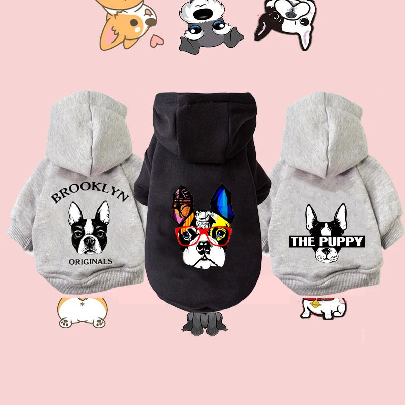 Sudadera para Perros "Ludik"