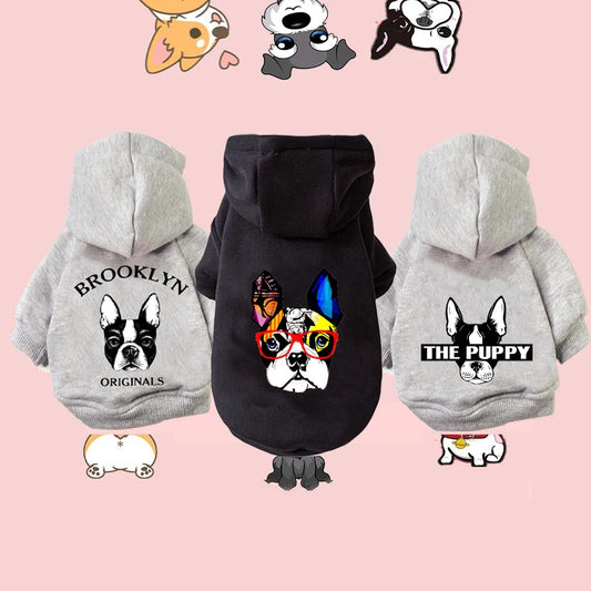 Sudadera para Perros "Ludik"
