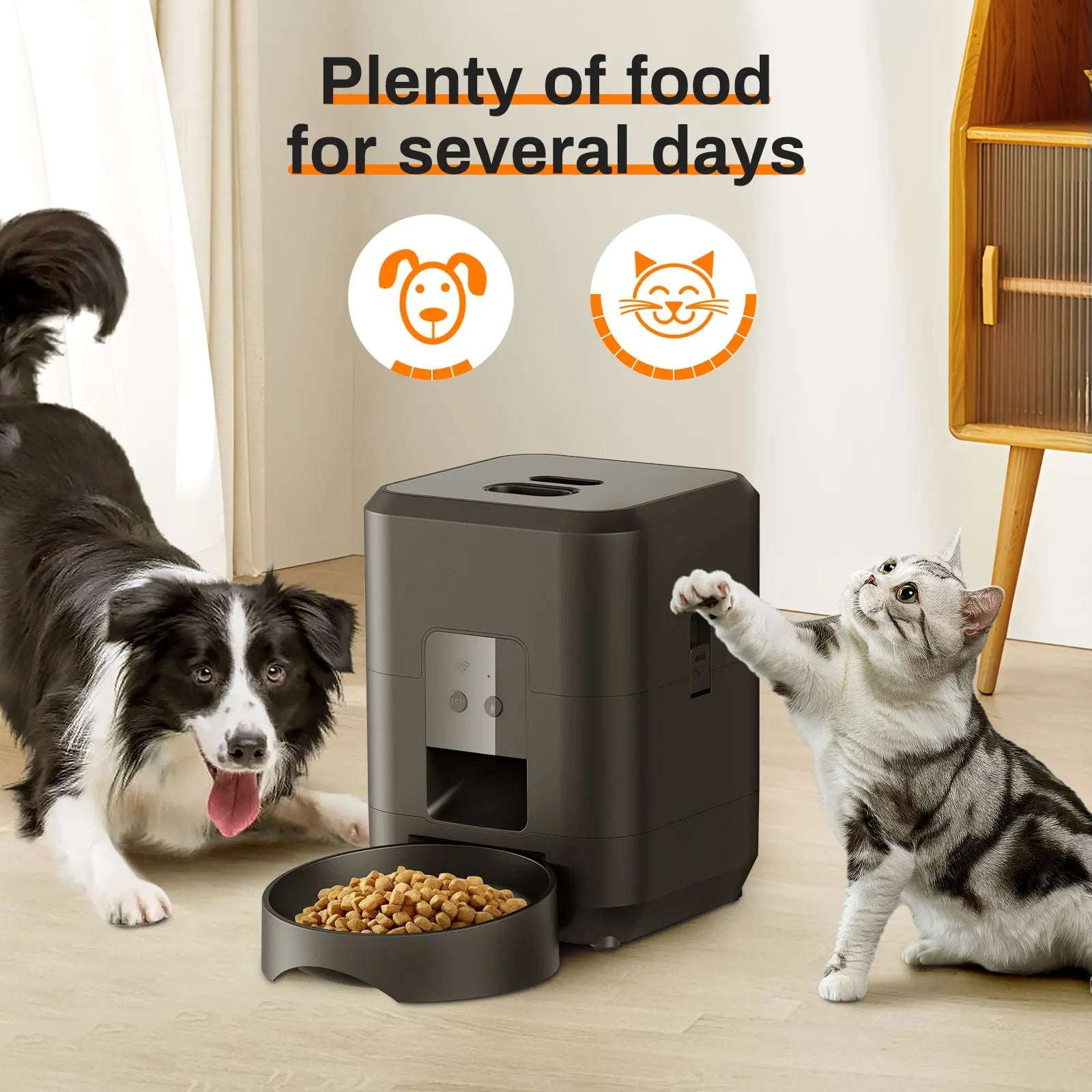 PetChef imagen13