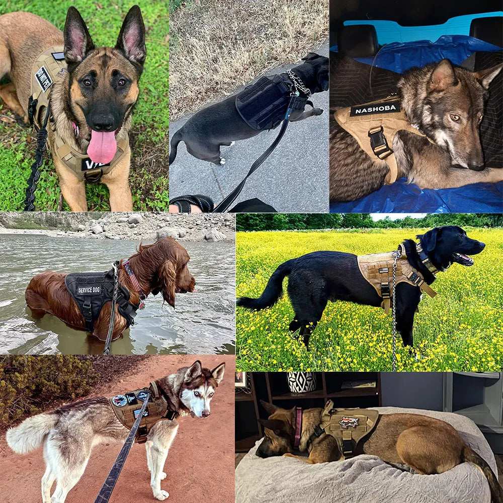 DogGuard – Arnés Táctico para Perros Grandes