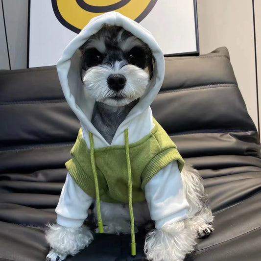 Sudadera "Jorik" – Abrigo de Invierno con Capucha