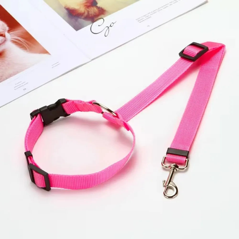 SafeBelt - Correa de Sujeción para Coche