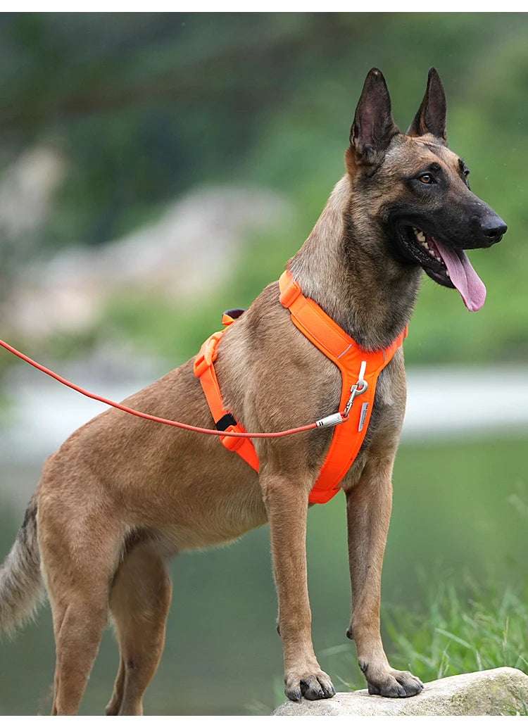 DogFit – Arnés Antitirones Reflectante para Perros de Todos los Tamaños