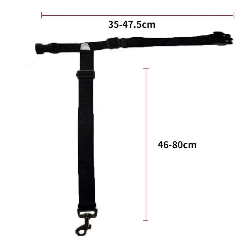 SafeBelt - Correa de Sujeción para Coche