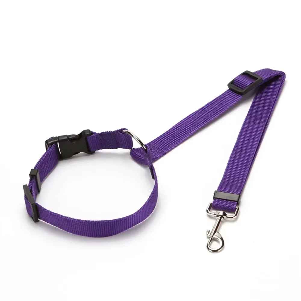 SafeBelt - Correa de Sujeción para Coche