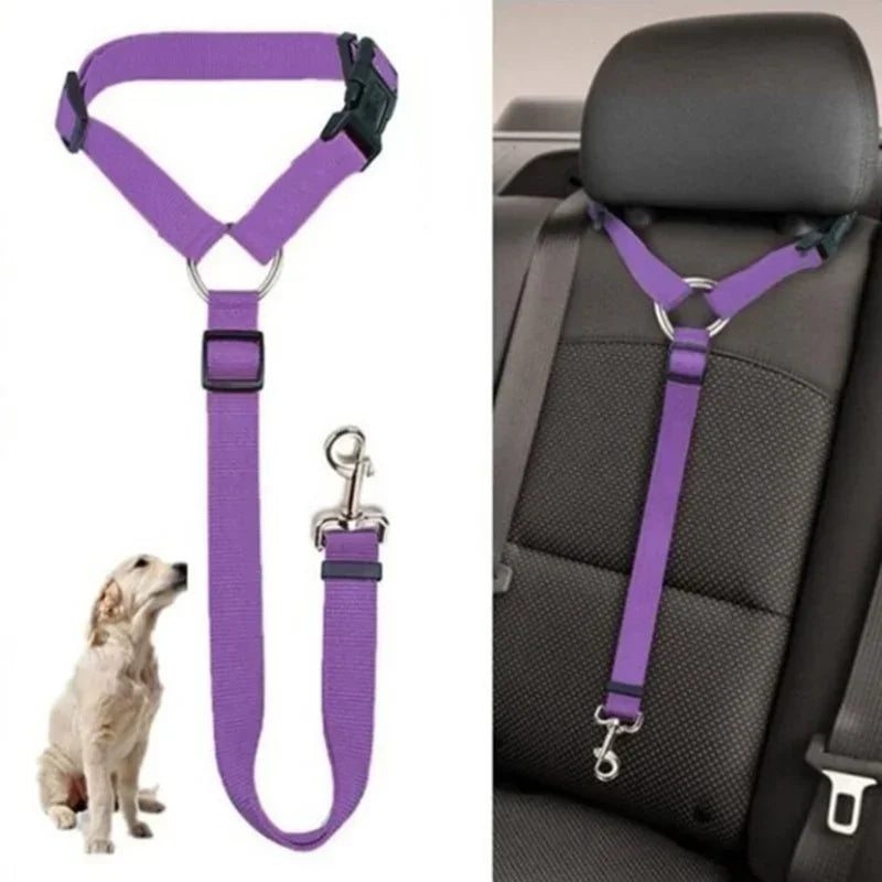 SafeBelt-Corre sujeción perro coche