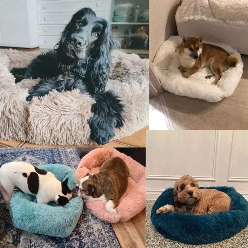 DogRest – Cama de Felpa para Perros