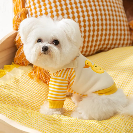 Sudadera para Perros "Wintsy"
