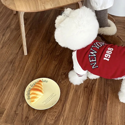 Chaqueta Béisbol "Mokto"